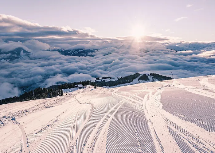 Living Eden By We Rent, Summercard Included Appartement